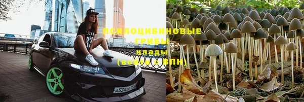 таблы Армянск