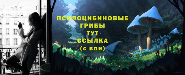 Альфа ПВП Аркадак