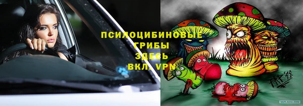 Альфа ПВП Аркадак